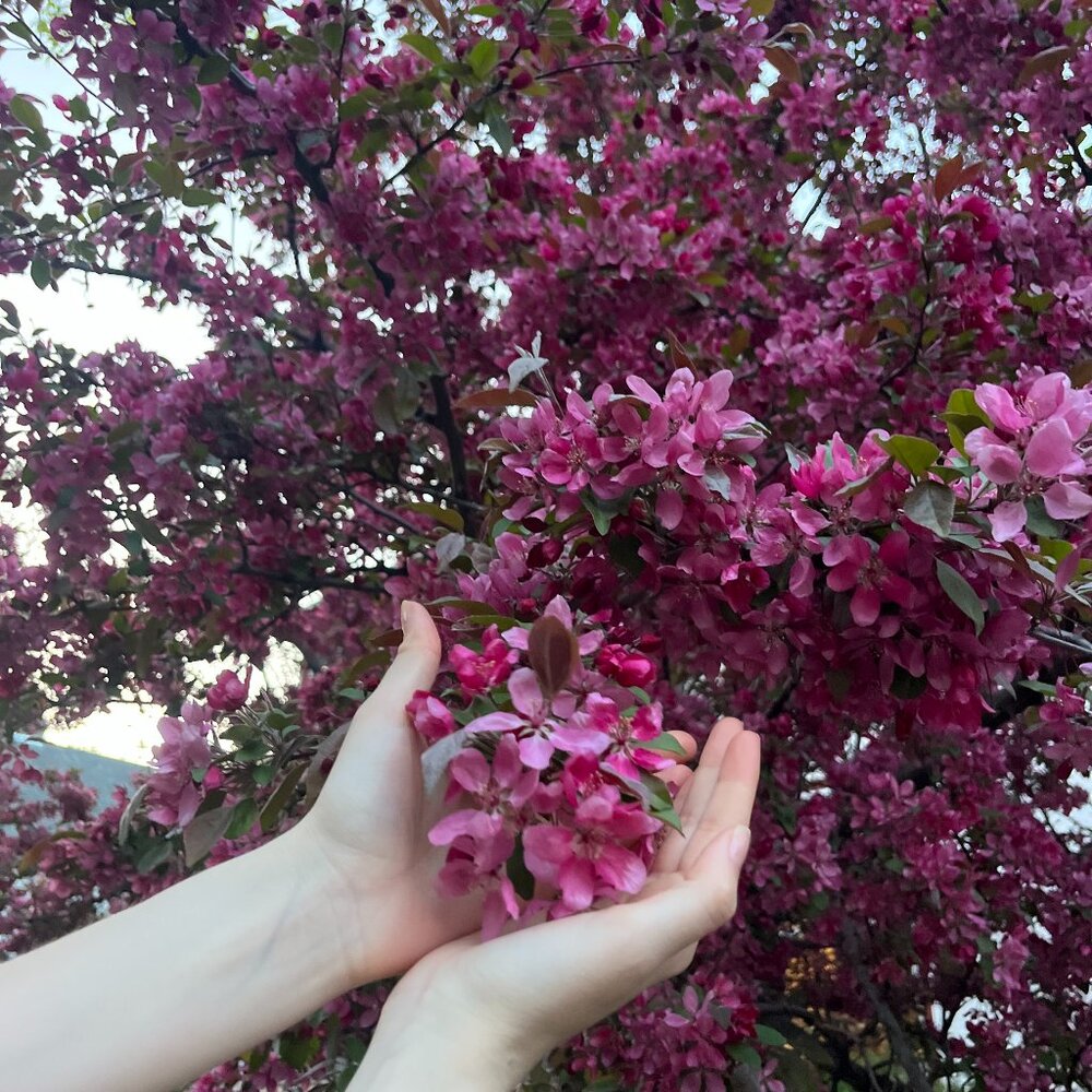 Meet your Posher, Abigail